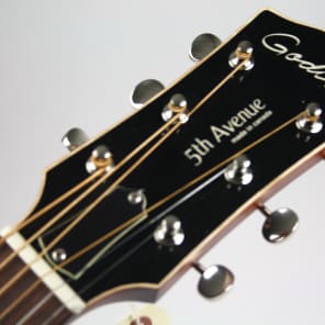 godin guitar serial number